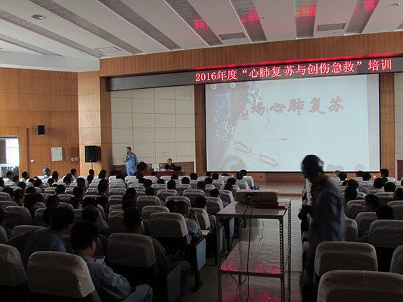 20250216837683.jpg 1.jpg